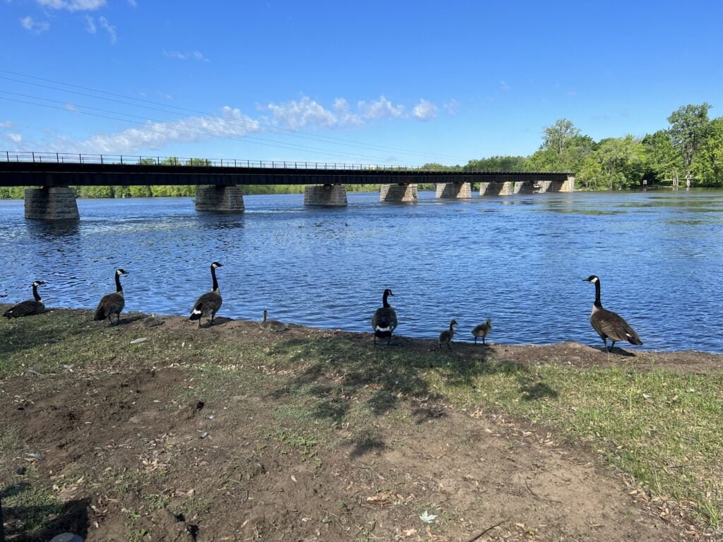 Waterfront MONTREAL / LAVAL furnished