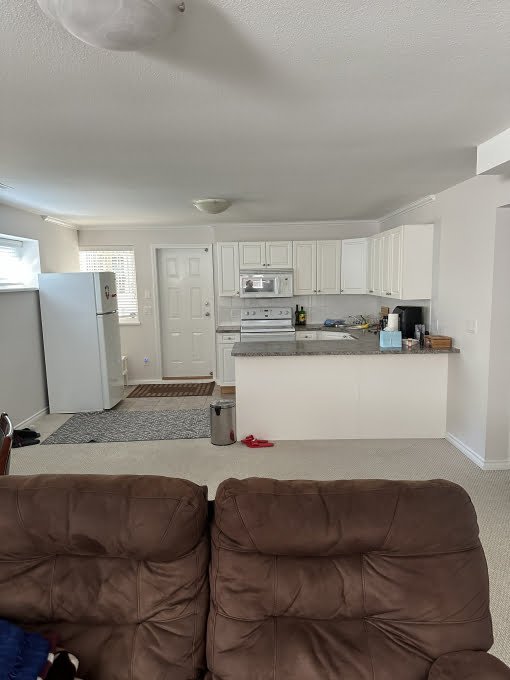 2 bedrooms suite -Langley - Walnut Grove $2100